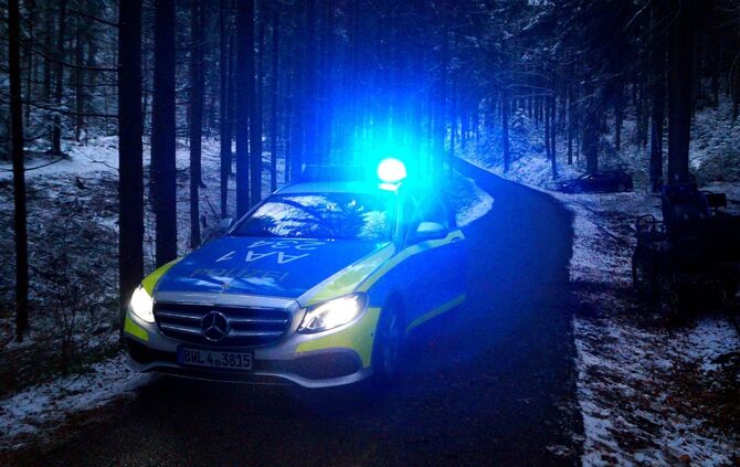 Schwerer Unfall mit Pferdekutsche im verschneiten Wald - Bild 01_1