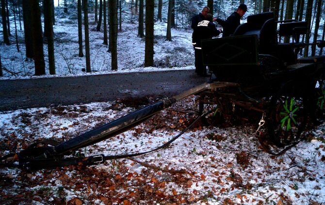 Schwerer Unfall mit Pferdekutsche im verschneiten Wald - Bild 14_2
