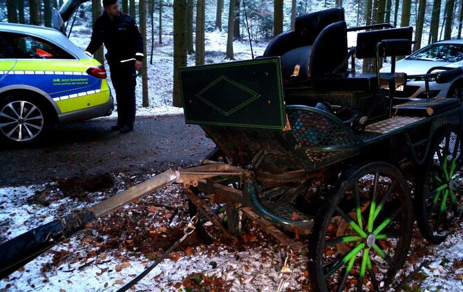 Schwerer Unfall mit Pferdekutsche im verschneiten Wald - Bild 20_6