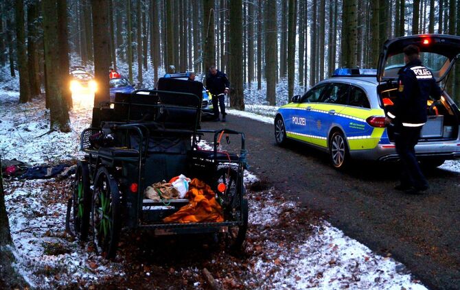 Schwerer Unfall mit Pferdekutsche im verschneiten Wald - Bild 23_7