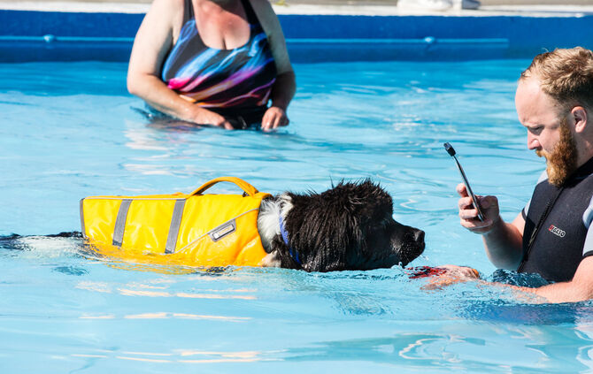 6. Hundebadetag in Buhlbronn_6