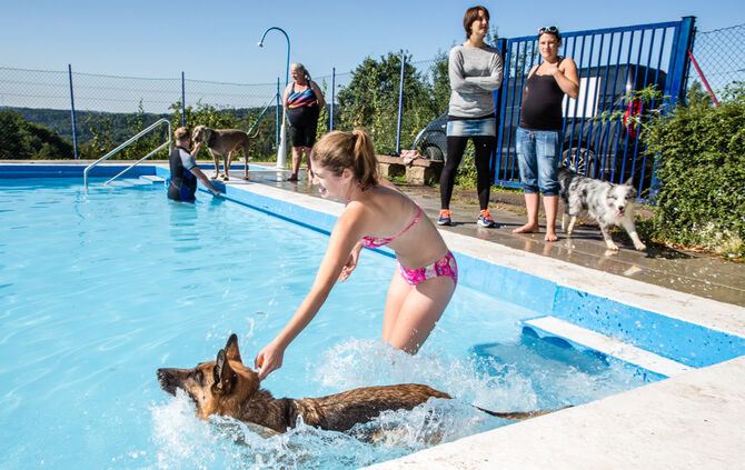 6. Hundebadetag in Buhlbronn_10