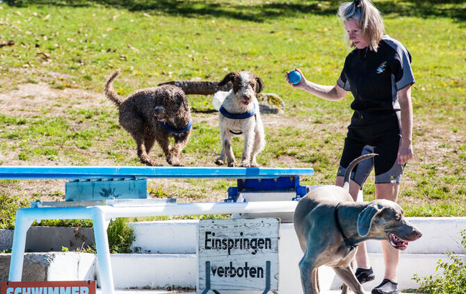 6. Hundebadetag in Buhlbronn_16