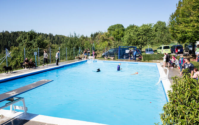 6. Hundebadetag in Buhlbronn_19