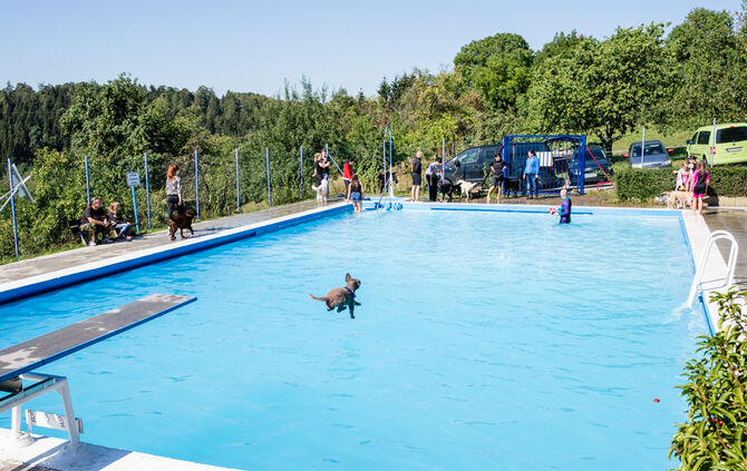 6. Hundebadetag in Buhlbronn_23