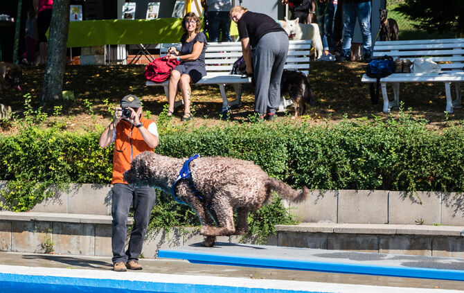 6. Hundebadetag in Buhlbronn_25