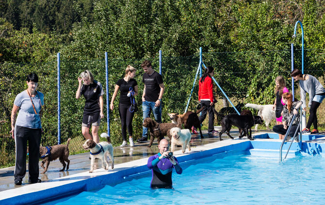 6. Hundebadetag in Buhlbronn_26