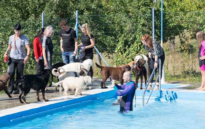 6. Hundebadetag in Buhlbronn_31