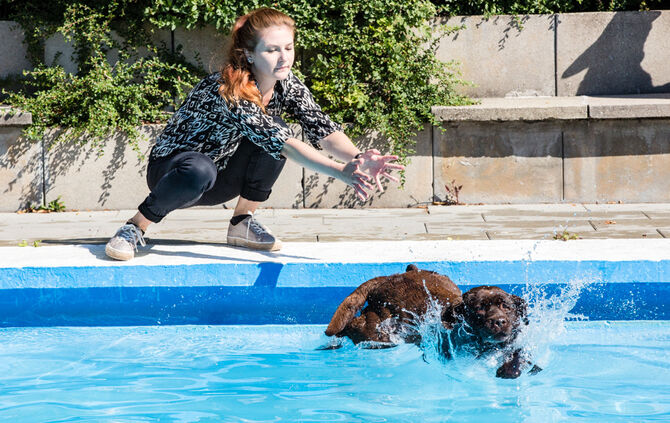 6. Hundebadetag in Buhlbronn_41