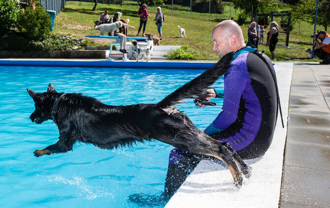 6. Hundebadetag in Buhlbronn_42