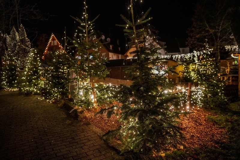 Adventswald Rudersberg Zauberhaft: Der schmucke Adventswald - Nachrichten aus Schorndorf ...