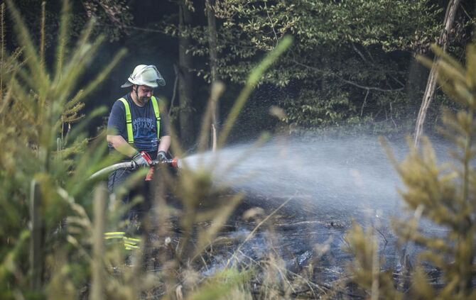 Waldbrand in Murrhardt - Trockenes Holz und GestrÃ¼pp entzÃ¼ndet sich - Feuerwehr muss Pendelverkehr einrichten_0