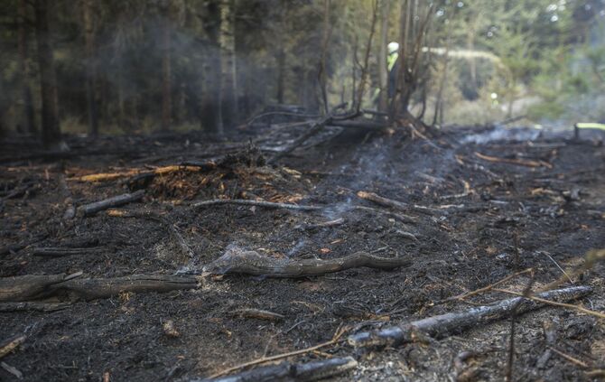 Waldbrand in Murrhardt - Trockenes Holz und GestrÃ¼pp entzÃ¼ndet sich - Feuerwehr muss Pendelverkehr einrichten_1