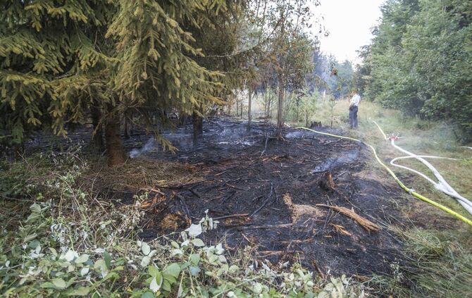 Waldbrand in Murrhardt - Trockenes Holz und GestrÃ¼pp entzÃ¼ndet sich - Feuerwehr muss Pendelverkehr einrichten_3