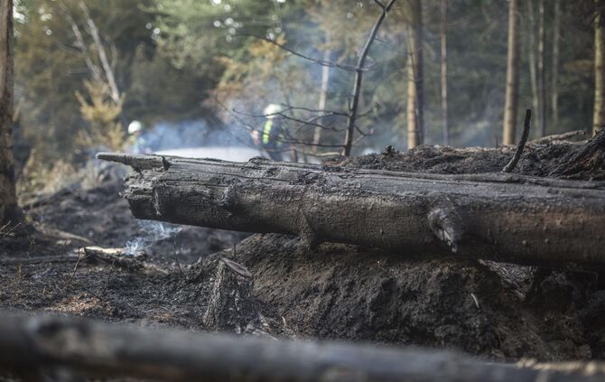 Waldbrand in Murrhardt - Trockenes Holz und GestrÃ¼pp entzÃ¼ndet sich - Feuerwehr muss Pendelverkehr einrichten_6