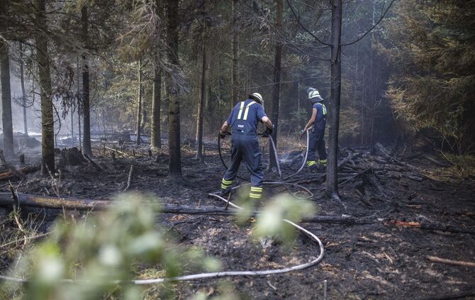 Waldbrand in Murrhardt - Trockenes Holz und GestrÃ¼pp entzÃ¼ndet sich - Feuerwehr muss Pendelverkehr einrichten_7