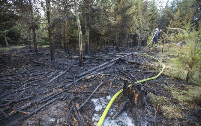 Waldbrand in Murrhardt - Trockenes Holz und GestrÃ¼pp entzÃ¼ndet sich - Feuerwehr muss Pendelverkehr einrichten_8