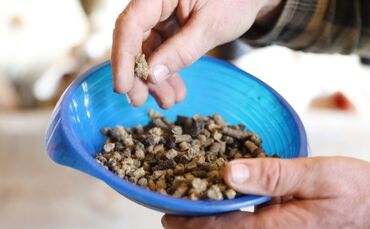 Dünger aus Schafwolle