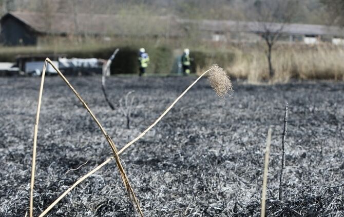 Flächenbrand höfen