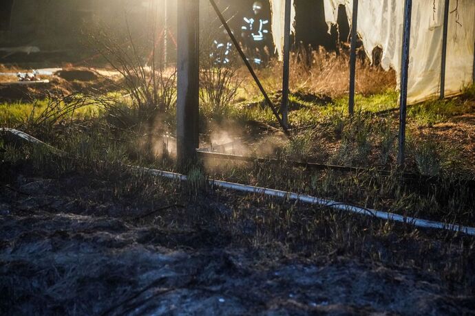 Waiblingen-Beinstein: Wiese und Teile vom Gewaechshaus brennen ab – Brandstiftung? Beim selben Besitzer brannte es im Juli 2020