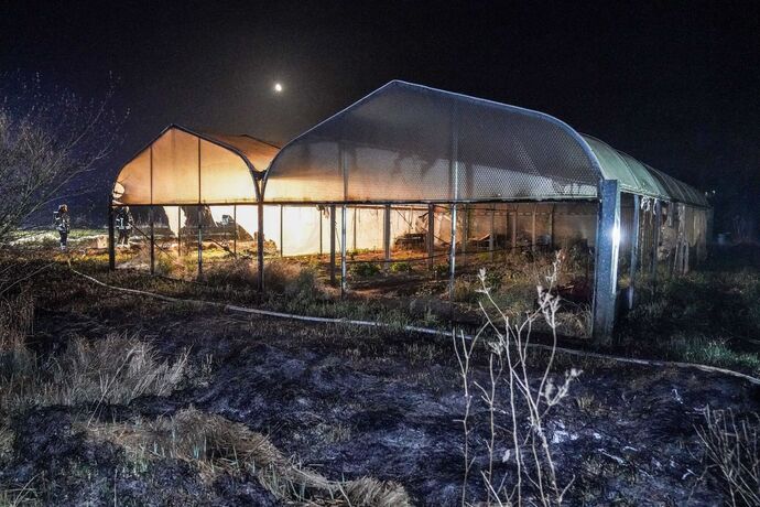 Waiblingen-Beinstein: Wiese und Teile vom Gewaechshaus brennen ab – Brandstiftung? Beim selben Besitzer brannte es im Juli 2020