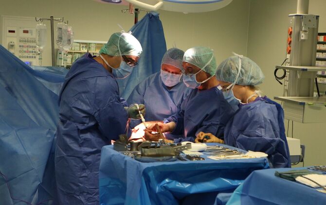 0e4ff51a-3112-401a-963c-1775d308b3a5.jpg_0