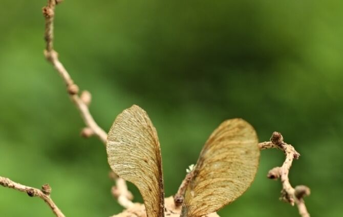 04ae9718-5a22-4f32-8f92-35a1d4cfc64c.jpg_3