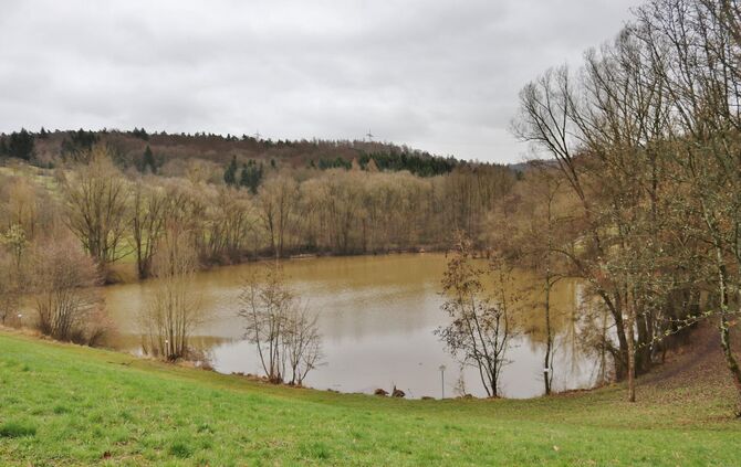 Hunderettung aus Bachrohr in Winterbach
