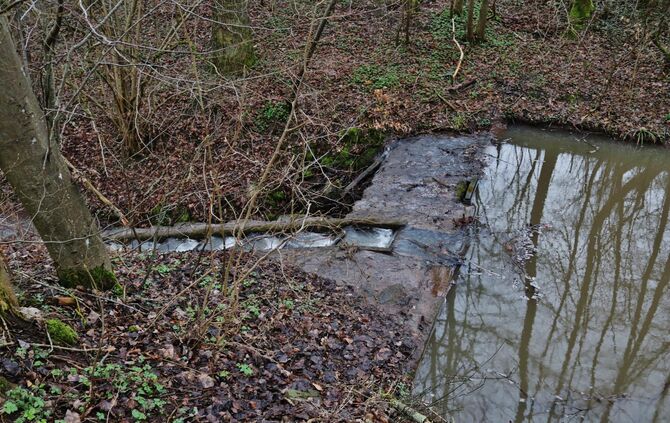 Hunderettung aus Bachrohr in Winterbach