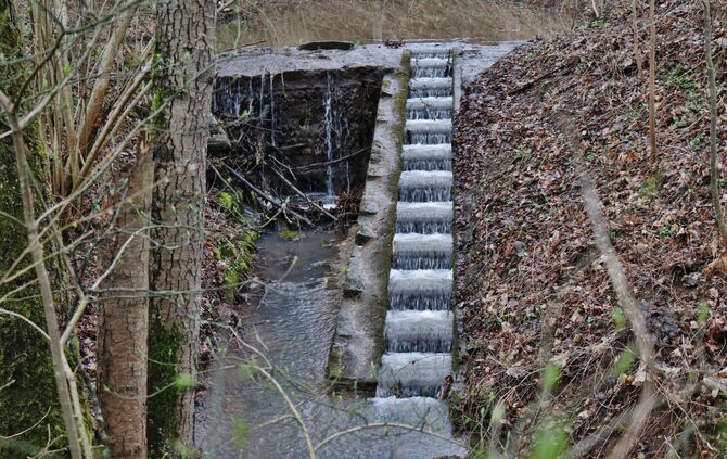 Hunderettung aus Bachrohr in Winterbach