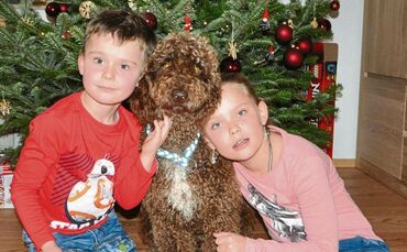 5064417e-8899-46c4-a813-e0fbc6b23c14.jpg_0