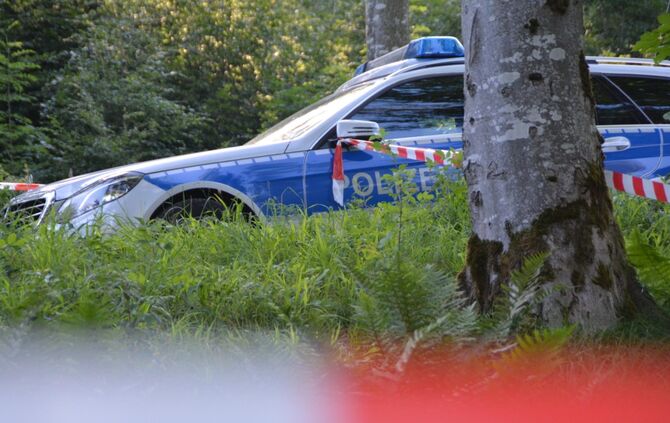 Absturzdrama im Ostalbkreis - Pilot bei Flugzeugabsturz nahe dem Flugplatz Bartholomä tödlich verletzt_8