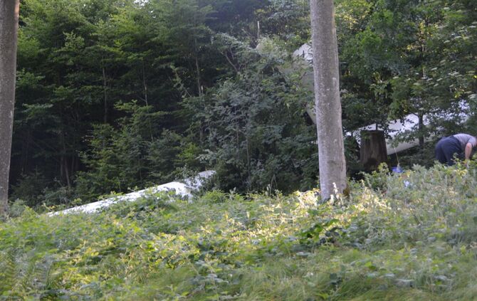 Absturzdrama im Ostalbkreis - Pilot bei Flugzeugabsturz nahe dem Flugplatz Bartholomä tödlich verletzt_9