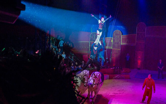 Premiere Weihnachtscirkus - Bild 63_1