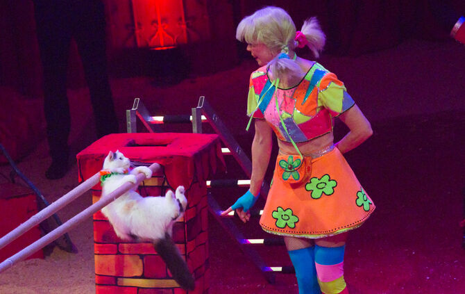 Premiere Weihnachtscirkus - Bild 60_4