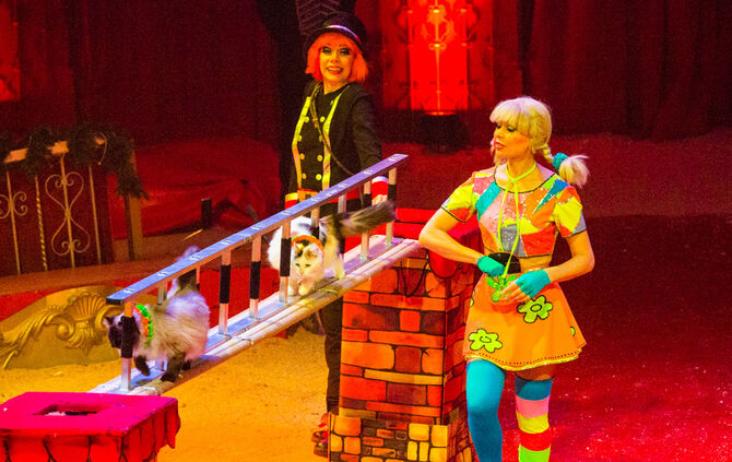 Premiere Weihnachtscirkus - Bild 52_12