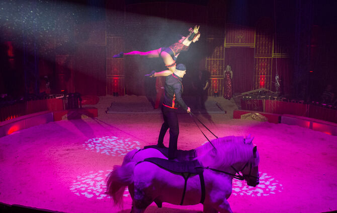 Premiere Weihnachtscirkus - Bild 50_14