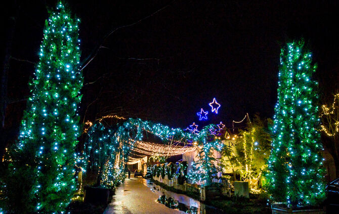 Premiere Weihnachtscirkus - Bild 39_24