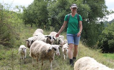 Sommertour Schafwanderweg