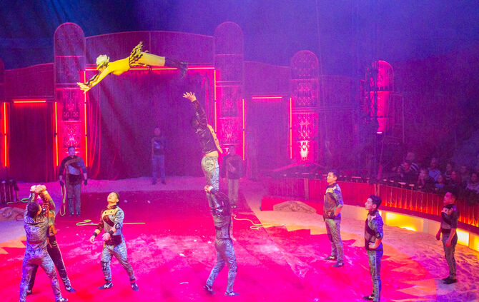 Premiere Weihnachtscirkus - Bild 29_34