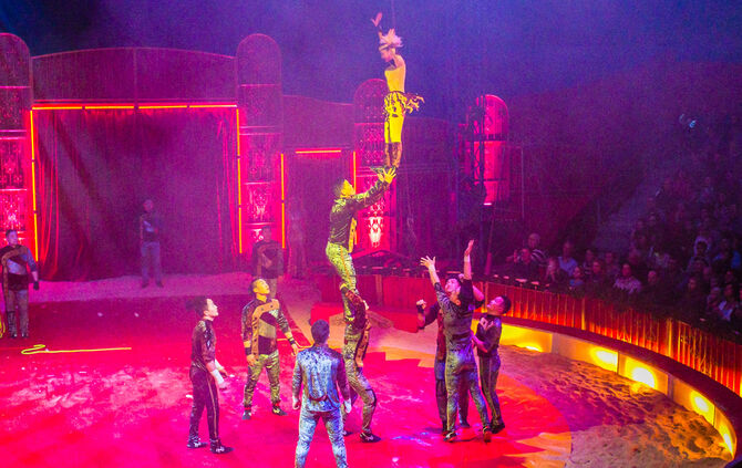 Premiere Weihnachtscirkus - Bild 24_39