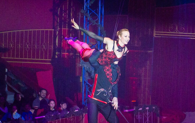 Premiere Weihnachtscirkus - Bild 17_46