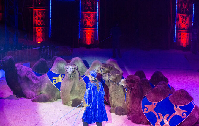 Premiere Weihnachtscirkus - Bild 09_54