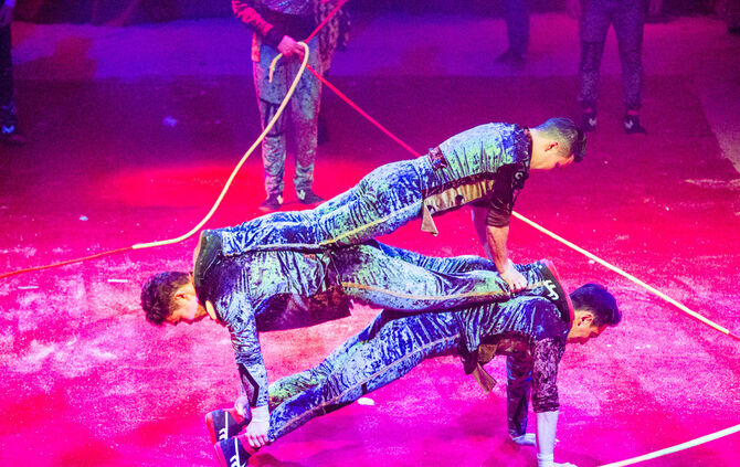 Premiere Weihnachtscirkus - Bild 07_56