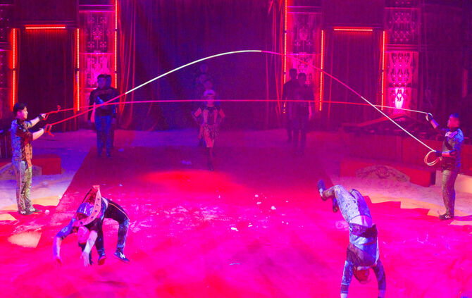 Premiere Weihnachtscirkus - Bild 06_57