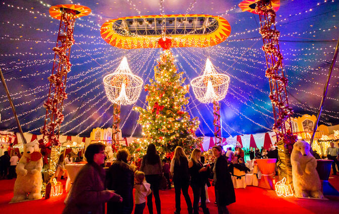 Premiere Weihnachtscirkus - Bild 01_62