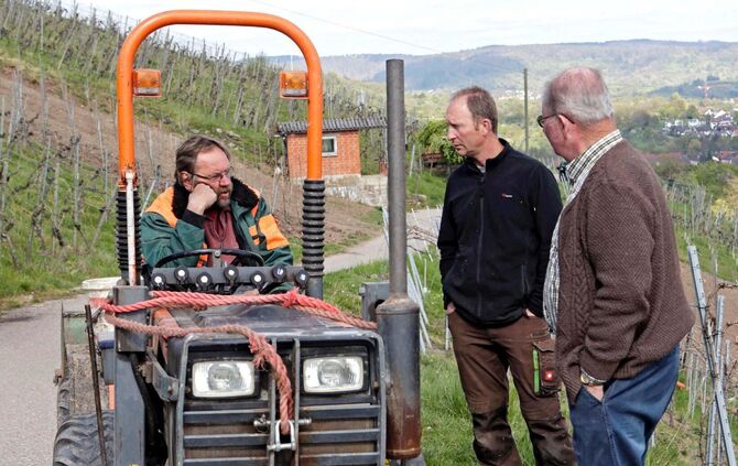 410de936-3bd2-453a-9352-5ca7204be268.jpg_0