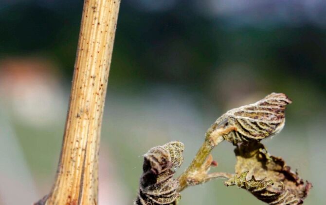 6699aca8-b7e2-44a7-890d-0c7c6e81a35e.jpg_2