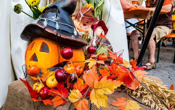 Weintage auf dem Marktplatz - Bild 06_5
