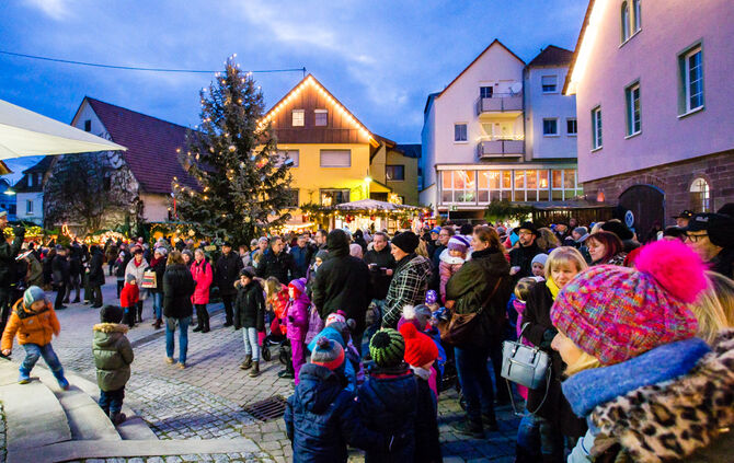 Weihnachtsmarkt Spatzenhof_48